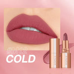 Kiss Proof Lippies Matte Mauve Lip Swatch - Vignette | VogueBeautify