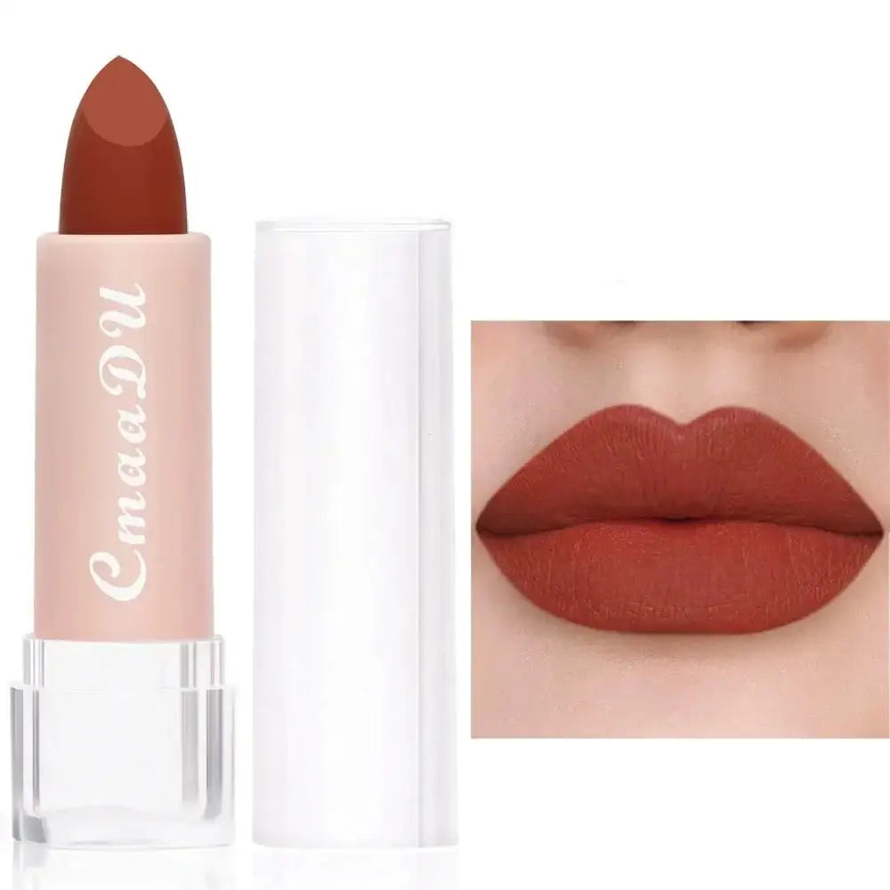 Lipstick in a light pink tube with a reddish-brown color.