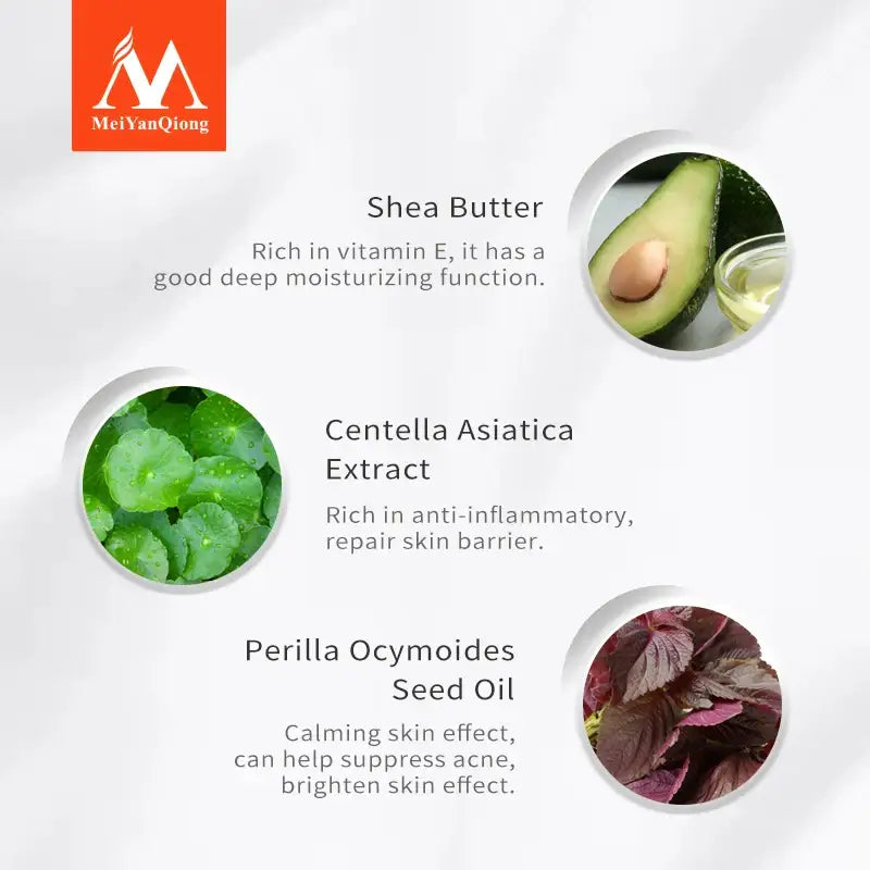 Infographic showcasing three skincare ingredients: shea butter, Centella Asiatica extract, and Perilla Ocymoides seed oil, with their benefits and images.