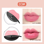 Pink Lip Gloss with Leaf Palette - Vignette | VogueBeautify