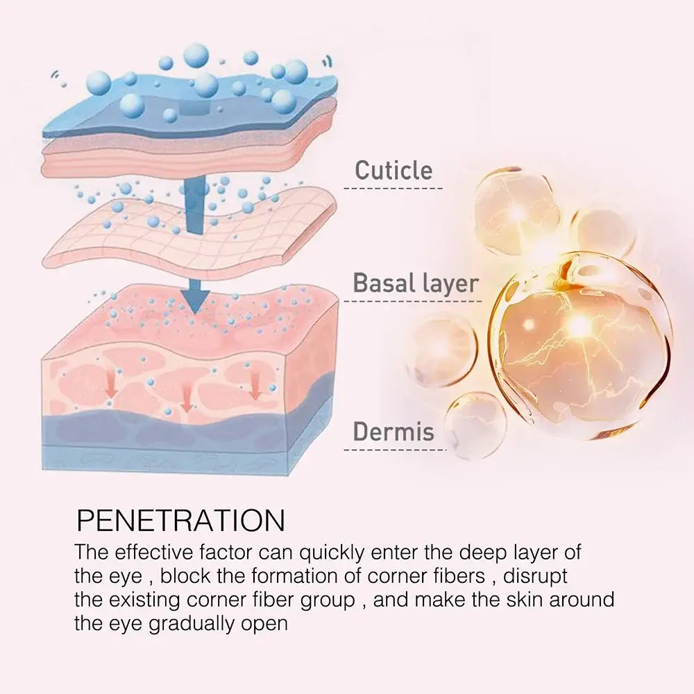 Diagram illustrating skin layers and eye penetration by an effective factor.