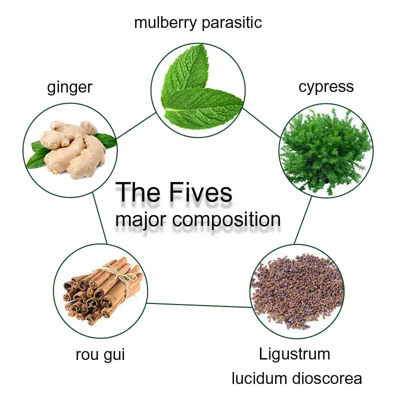 Diagram showing five herbal ingredients labeled as ’The Fives major composition’ in a circular arrangement.